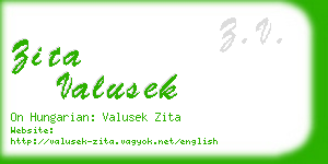 zita valusek business card